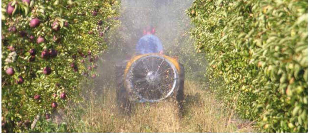 Pulvérisation d’insecticide dans un verger en production fruitière conventionnelle