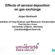 Effects of aerosol deposition on gas exchange