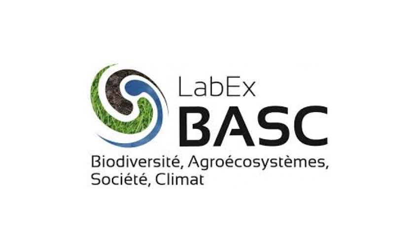 Log Basc
